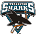 Worcester Sharks